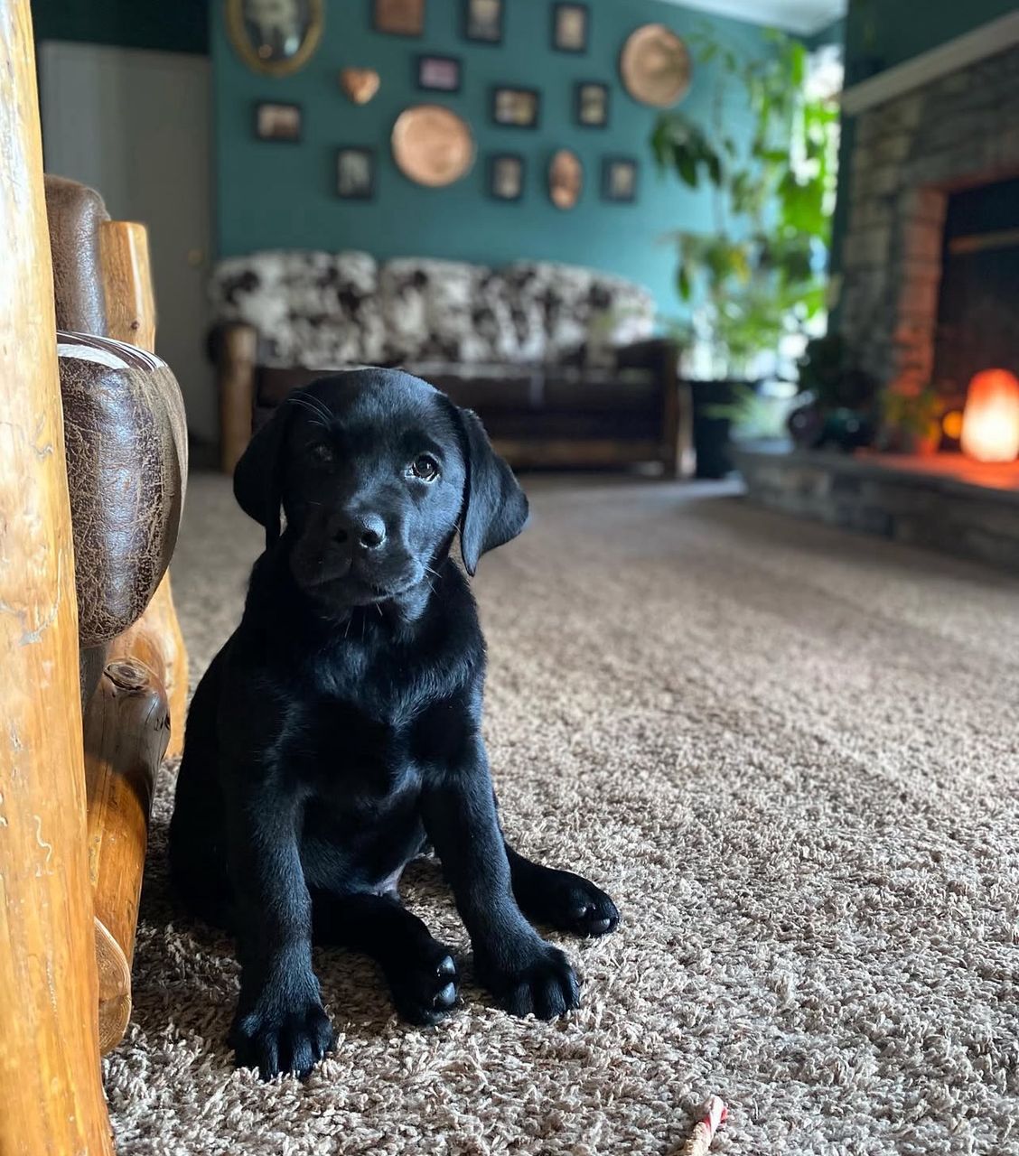 Ben